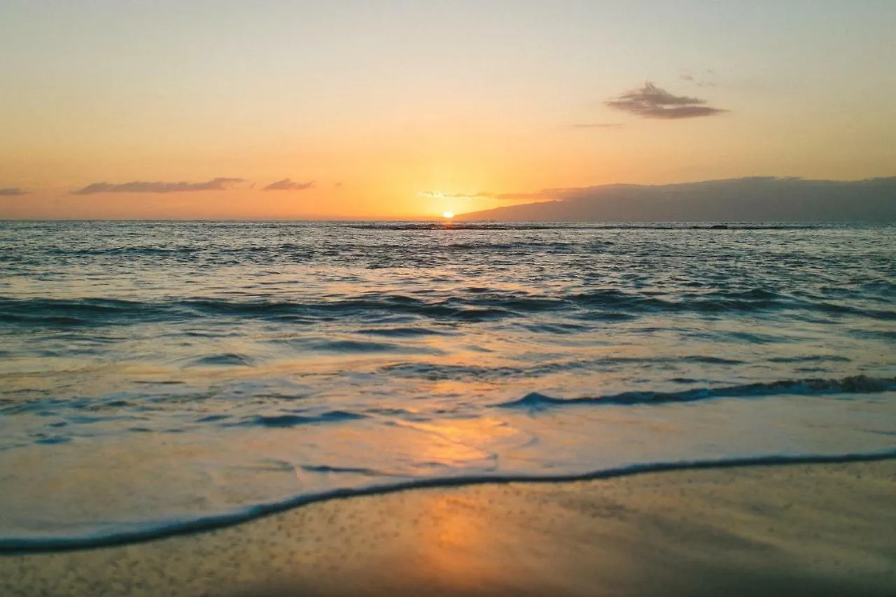Los Olivos Beach Resort Адехе